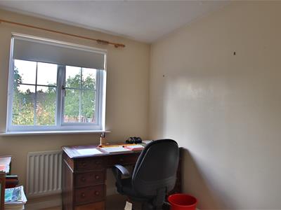 Picture 10